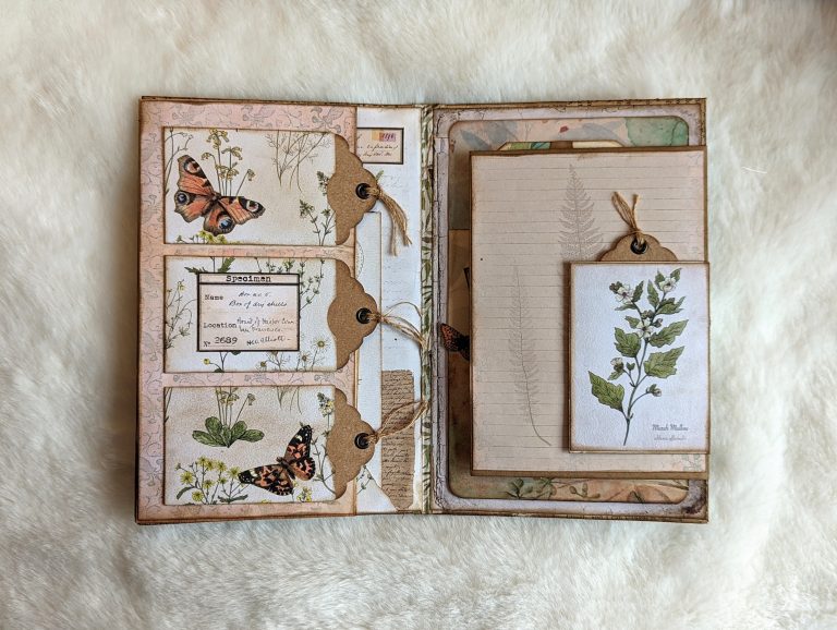 Botanical Field Notes Folio