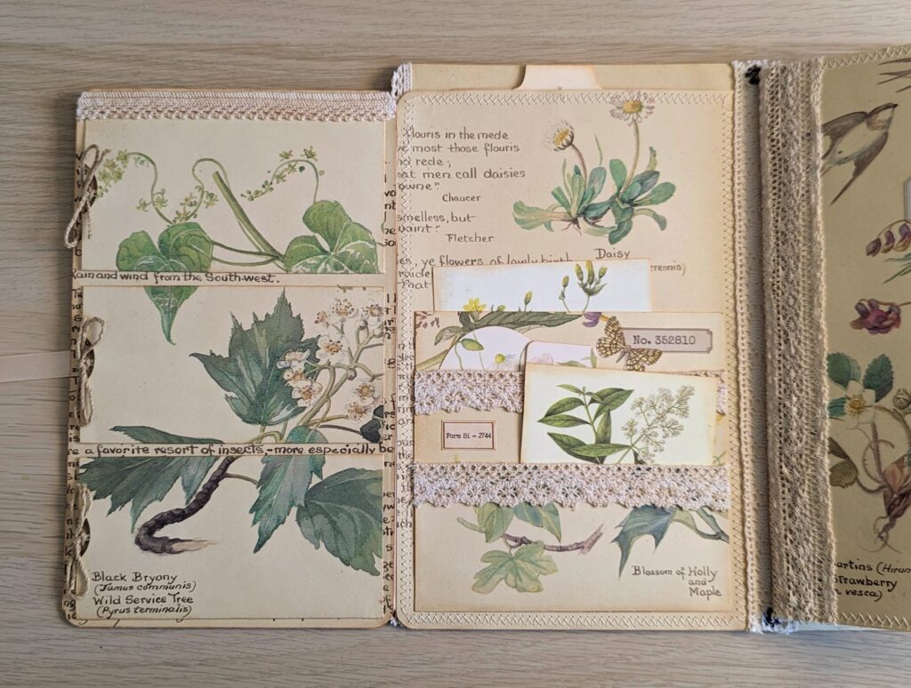 Botanical folios left panel