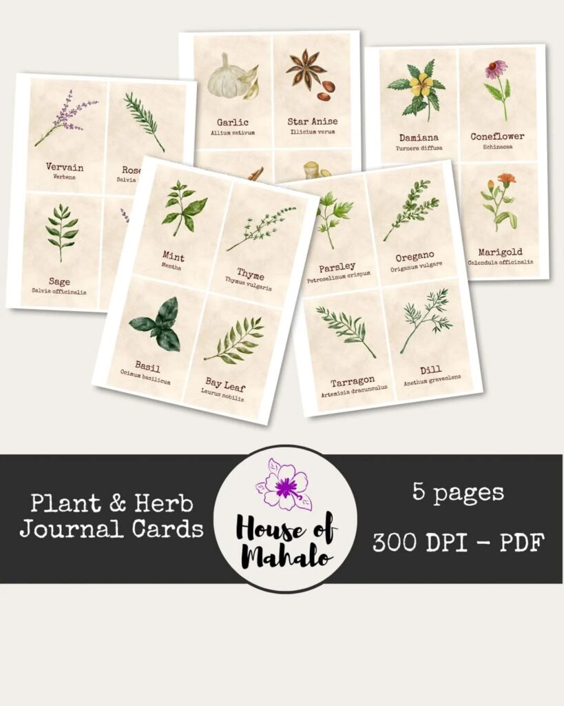 Herbal Medicine Identification Cards from House of Mahalo